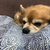 Profile picture small