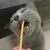 Profile picture small