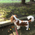 Profile picture small