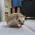 Profile picture small