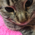 Profile picture small