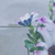Profile picture small