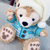 Profile picture small