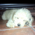 Profile picture small