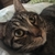 Profile picture small