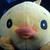 Profile picture small