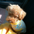 Profile picture small