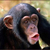 Profile picture small