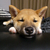 Profile picture small