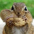 Profile picture small