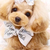 Profile picture small