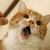 Profile picture small