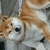 Profile picture small