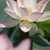 Profile picture small