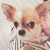 Profile picture small