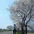 Profile picture small