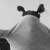 Profile picture small