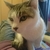 Profile picture small