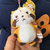 Profile picture small