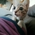 Profile picture small