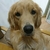 Profile picture small