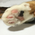 ヒゲ