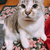 Profile picture small