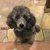 Profile picture small