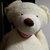 Profile picture small