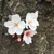 Profile picture small