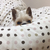 Profile picture small