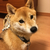 Profile picture small