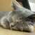 Profile picture small