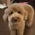 Profile picture small