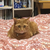 Profile picture small
