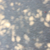 Profile picture small