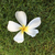 Profile picture small