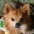 Profile picture small