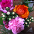 Profile picture small