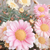 Profile picture small