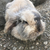 Profile picture small