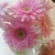 Profile picture small