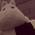 Profile picture small