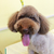 Profile picture small