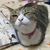 Profile picture small