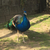 Profile picture small