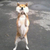 Profile picture small