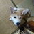 Profile picture small