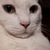Profile picture small