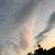 Profile picture small